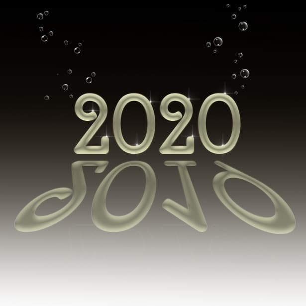 Happy 2020 from everyone at Maid Service Vienna!
